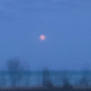 Meet your Posher, Dominic